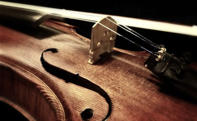 Обучение взрослых игре на скрипке